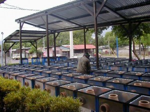 Primeira fábrica de ecofogones, na Nicarágua 2001.
